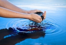  《生態(tài)環(huán)境損害賠償制度改革方案》發(fā)布