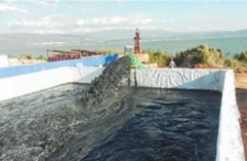  玉溪星云湖加快污染底泥疏挖，消除劣V類水質