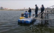  小型浮標(biāo)在線監(jiān)測系統(tǒng)