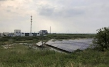  江蘇海安市違規(guī)撤銷沿海防護(hù)林和灘涂縣級自然保護(hù)區(qū)實(shí)施開發(fā)建設(shè)