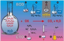  BOD和COD有什么區別？